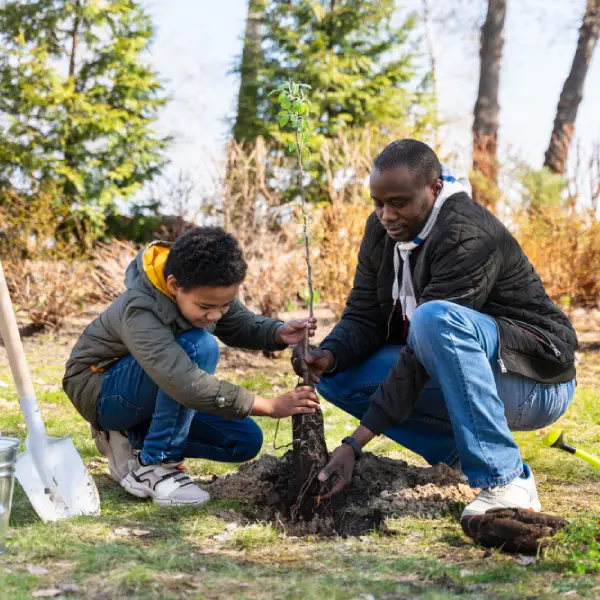 Help make a difference like planting trees